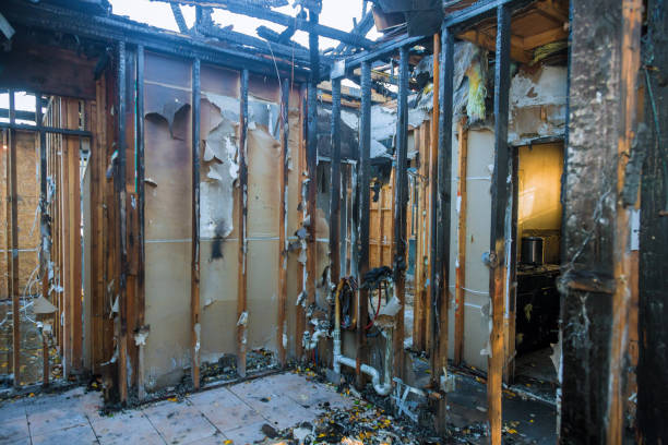 Professional Odor Removal technician working in Round Rock, TX
