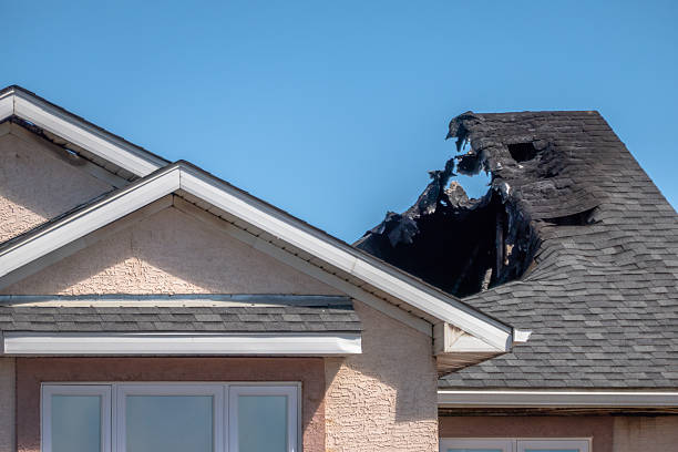 Top rated local Odor Removal specialists in Round Rock, TX